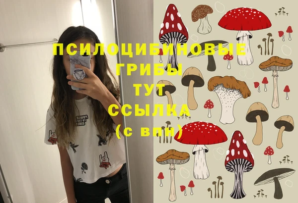 мяу мяу кристалл Алексин