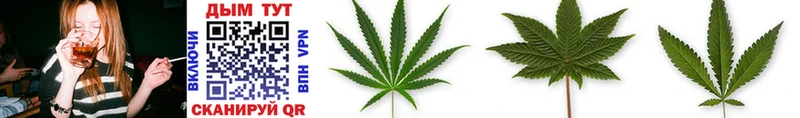 Бошки Шишки Ganja  Анива 
